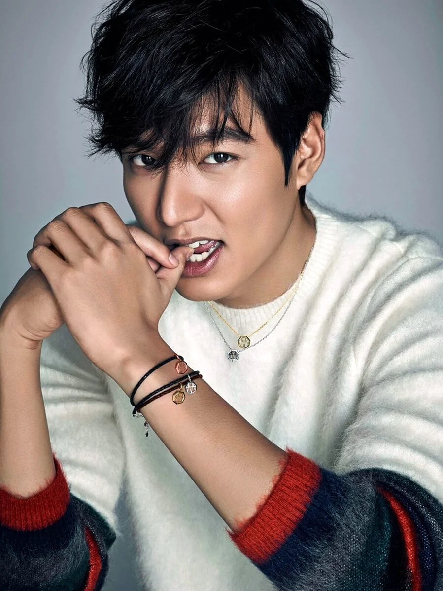 Lee Min Ho. Celebrity
